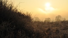 Landscapes winter romania