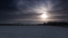 Landscapes winter snow fog