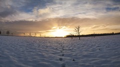 Landscapes winter snow panorama