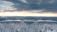 Landscapes winter snow snow