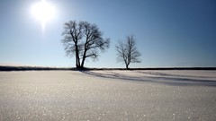 Landscapes winter snow sun