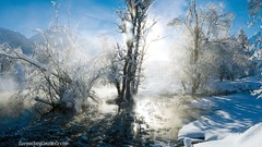 Landscapes winter snow Trees