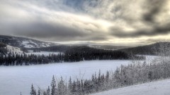 Landscapes winter snow-white