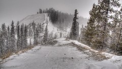 Landscapes winter snow-white