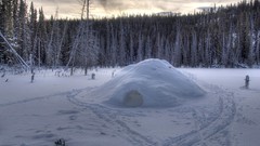 Landscapes winter snow-white