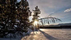 Landscapes winter snow-white