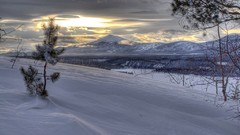 Landscapes winter snow-white