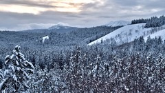 Landscapes winter snow-white
