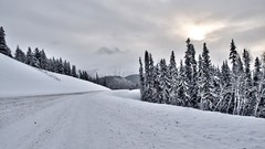 Landscapes winter snow-white