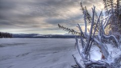 Landscapes winter snow-white