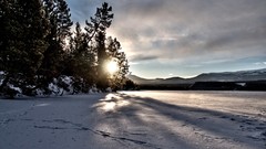 Landscapes winter snow-white