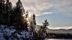 Landscapes winter snow-white