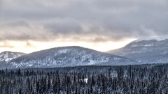 Landscapes winter snow-white