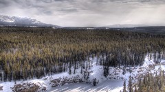 Landscapes winter snow-white