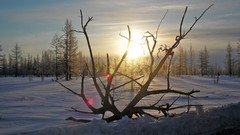 Landscapes winter sun