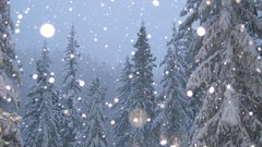 Landscapes winter Trees