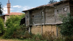 Landscapes Wood Turkey Kastamonu