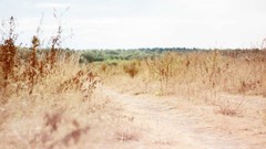 Landscapes yellow sun rain gold Russia fields sunlight rainbows