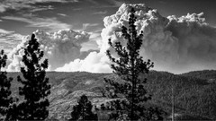 Landscapes Yosemite National Park