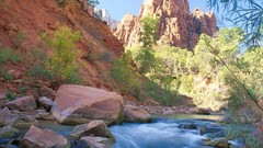 Landscapes Zion National Park national park