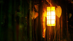 Lanterns