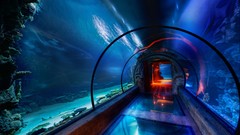 Las Vegas underwater passage