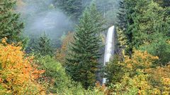Latourell falls columbia river