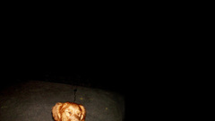 Laughing dog by dgk1