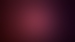 Lavender minimalistic