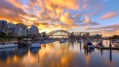 Lavender reflections