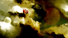 Lawn flying Dreaming