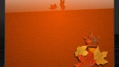 Leaf autumn fall nature