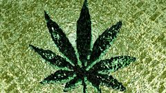 Leaf drugs leaves marijuana