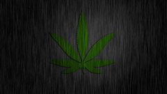 Leaf drugs marijuana