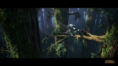 League of Legends video games forest Trees Green black PC gaming