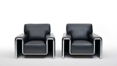 Leather black chrome Furniture