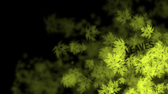 Leaves