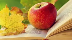Leaves apples Books fruits