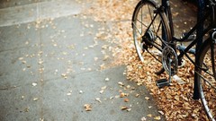 Leaves autumn Bicycles fallen leaves