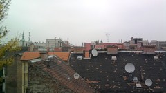 Leaves autumn buildings urban