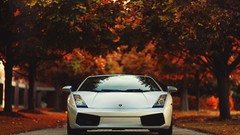 Leaves autumn cars vehicles lamborghini gallardo