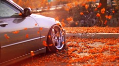 Leaves autumn cars wheels races