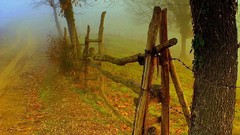 Leaves autumn doors fallen leaves