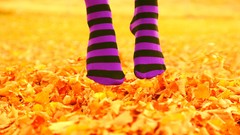 Leaves autumn feet socks jumping fallen leaves striped legwear