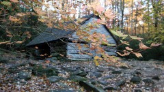 Leaves autumn houses