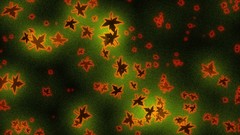 Leaves autumn minimalistic