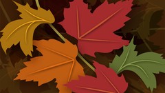 Leaves autumn multicolor vectors