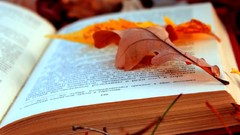 Leaves autumn text foliage pages