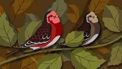 Leaves Birds multicolor vectors