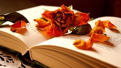 Leaves Books roses German